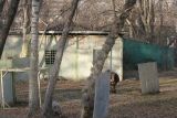 Отчет о площадке ПК Город (Paintpark) 23.11.14